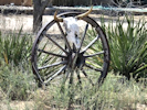 fite ranch wagon wheel